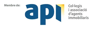 Miembro de API, Colegio y asociación de agentes inmobiliarios